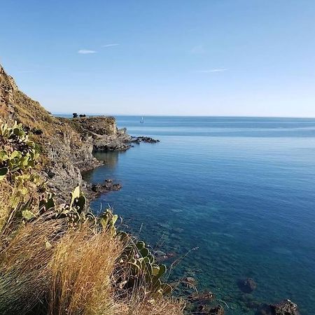 Residence Les Aloes T2 , Ideal 2 Adultes 2 Enfants A 2 Minutes De La Mer Cerbère Dış mekan fotoğraf