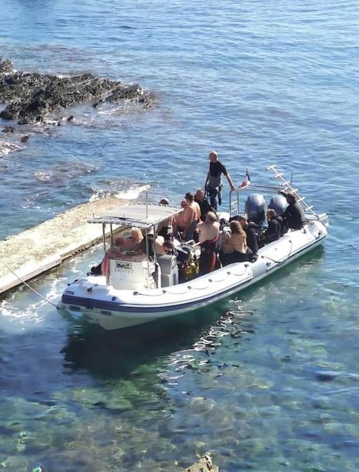 Residence Les Aloes T2 , Ideal 2 Adultes 2 Enfants A 2 Minutes De La Mer Cerbère Dış mekan fotoğraf