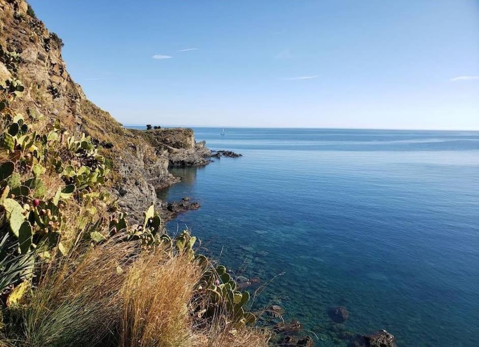Residence Les Aloes T2 , Ideal 2 Adultes 2 Enfants A 2 Minutes De La Mer Cerbère Dış mekan fotoğraf
